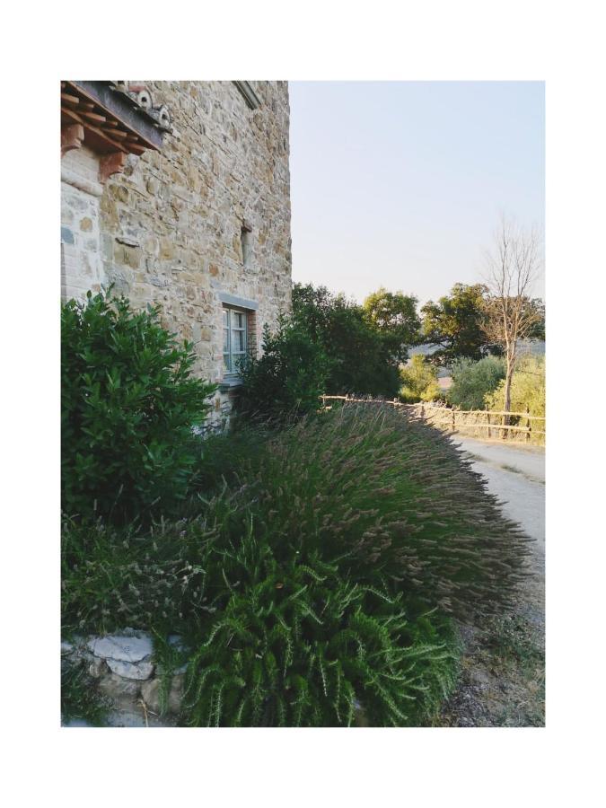 Podere Paradiso Villa Magione Esterno foto