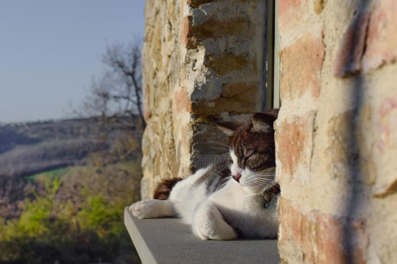 Podere Paradiso Villa Magione Esterno foto