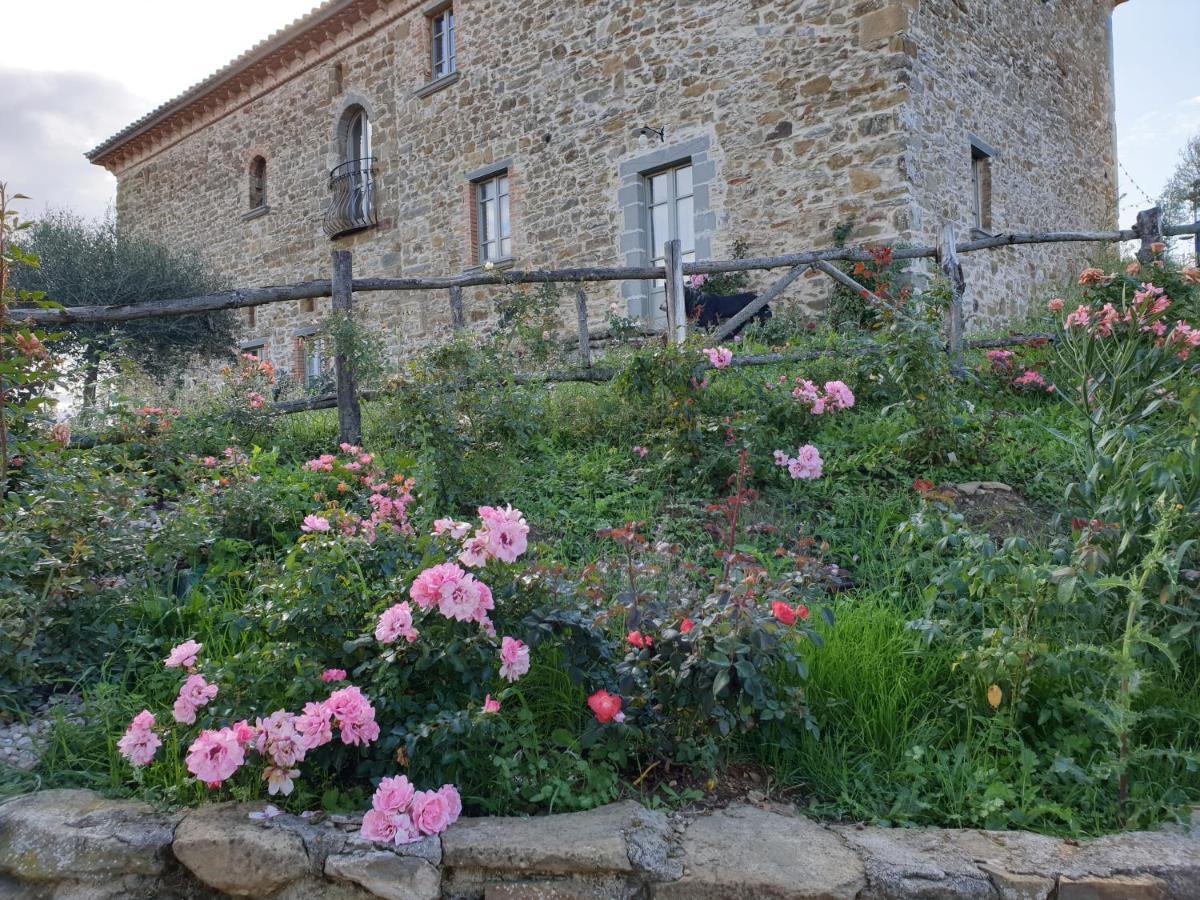 Podere Paradiso Villa Magione Esterno foto